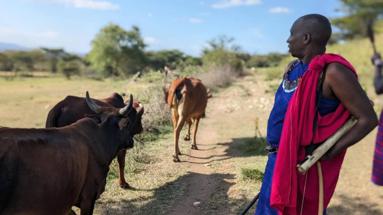 Готель Leruk Maasai Mara Camp Sekenani Екстер'єр фото